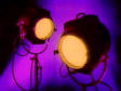 Herman heeft heel wat avonden onder de warme lampen gestaan...